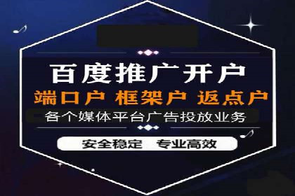抖音信息流代理在电商行业的应用案例分析